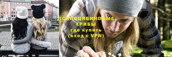 молекула духа Медногорск