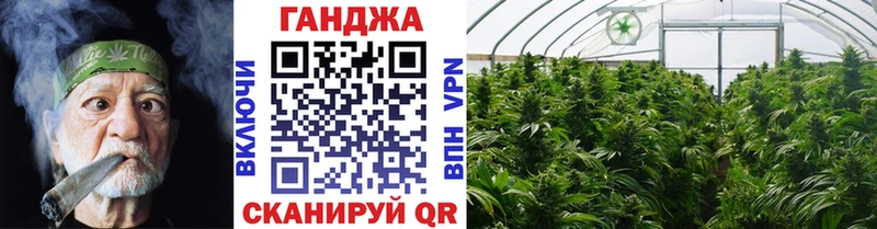 Бошки марихуана конопля  Заозёрск 